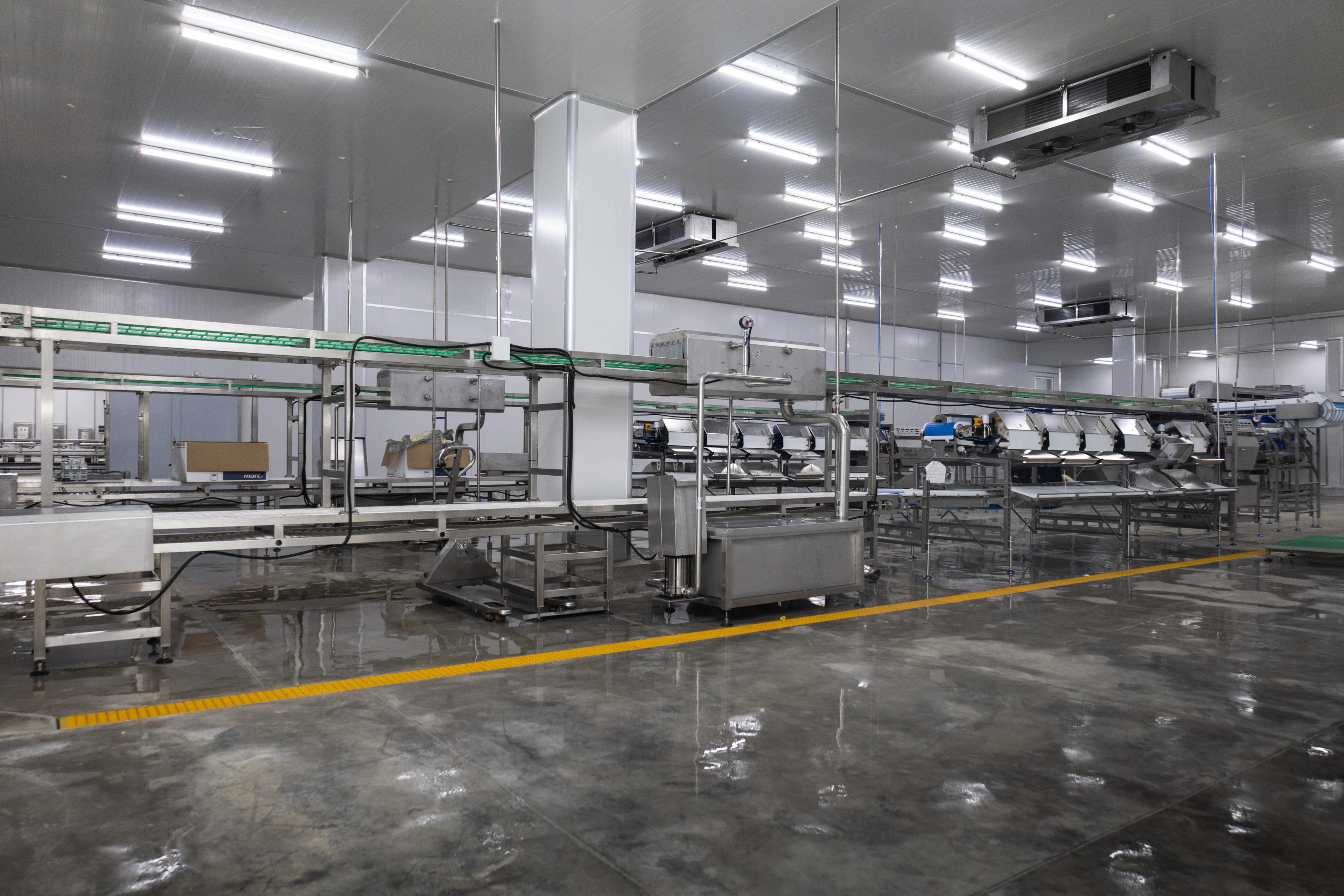 Línea de procesamiento JBT Marel