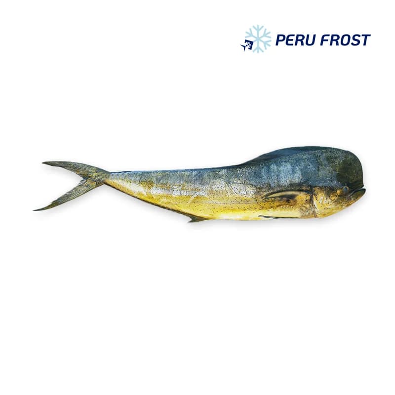 Mahi Mahi